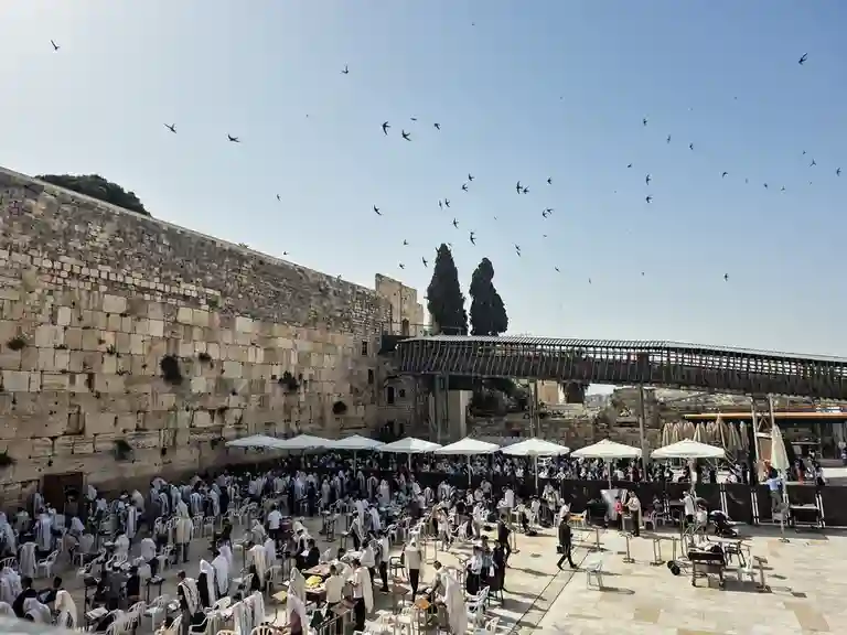 Israeli Paraglider Saves Jerusalem’s Migrating Swifts at Western Wall