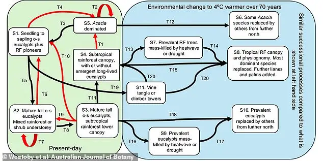 Climate Change by 2100: Scientists Predict 4°C Rise