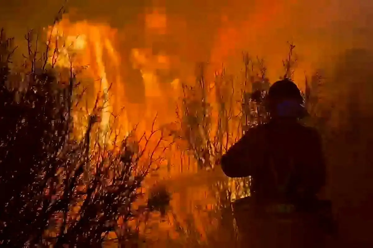 Europe Heatwave: France Wildfires Force 20,000 Evacuations