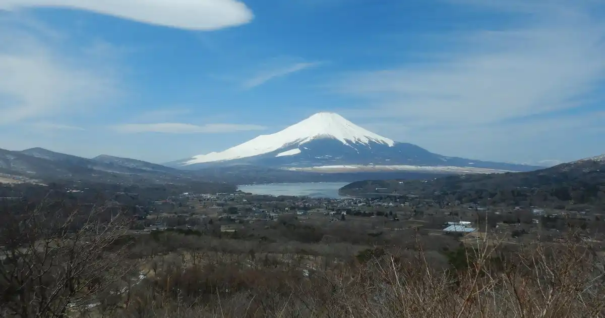 Euthanasia Firm Head Dies on Mount Fuji