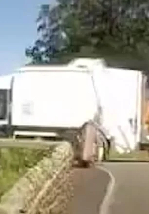 Millionaire Netflix star Dave Fishwick's bin taken by council