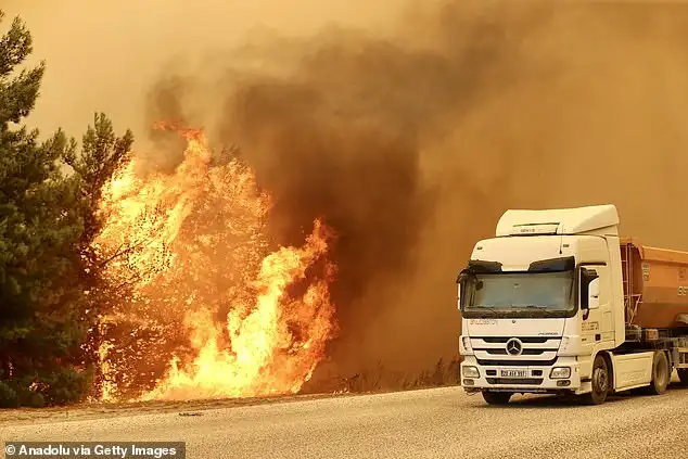 Europe Wildfires Rage as Greece, France Evacuate Villages in 40C Heat
