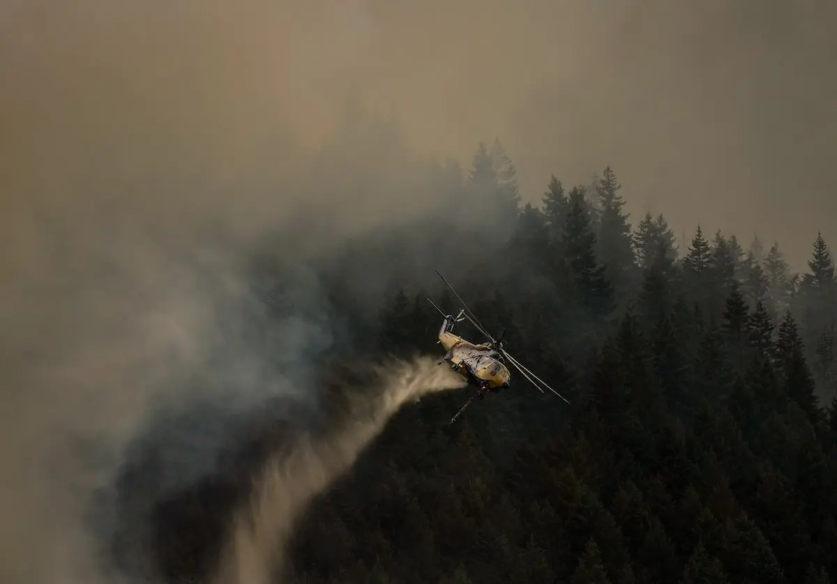 B.C. wildfires surge after overnight lightning strikes