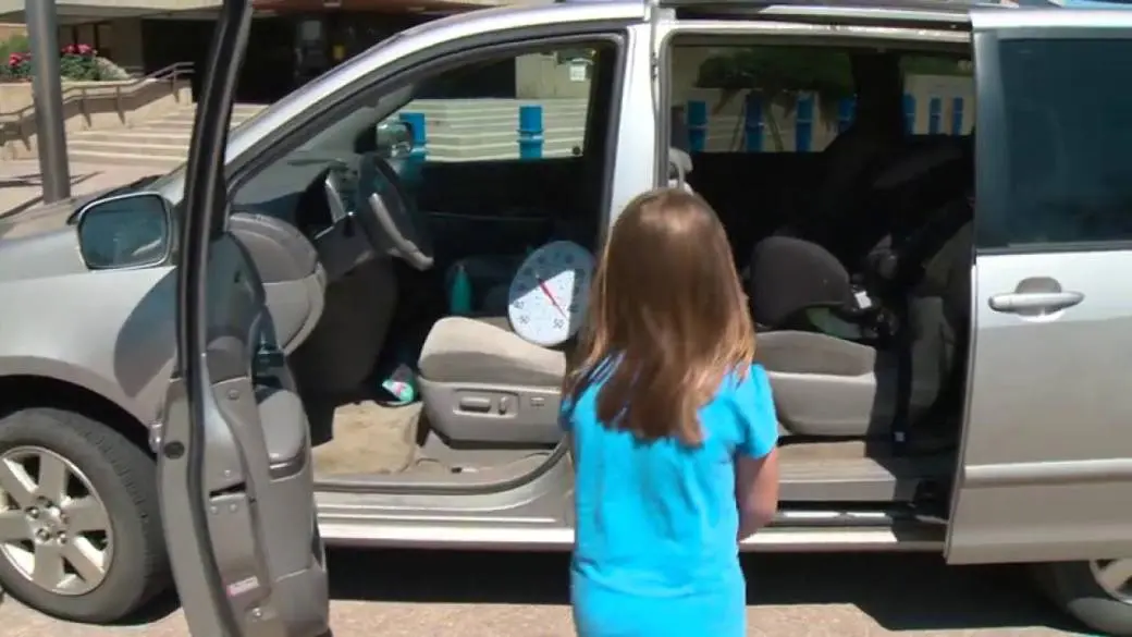 Edmonton warns pet owners: Hot cars deadly for animals, fines up to $500